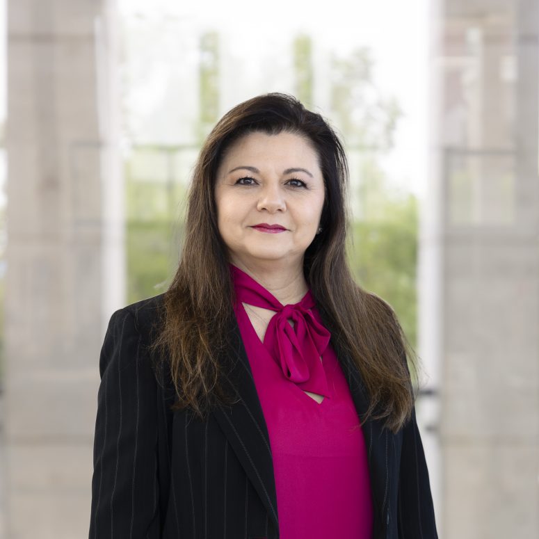 Lynn Tully, CEcD, AICP | Regional Director, Northeast TN
